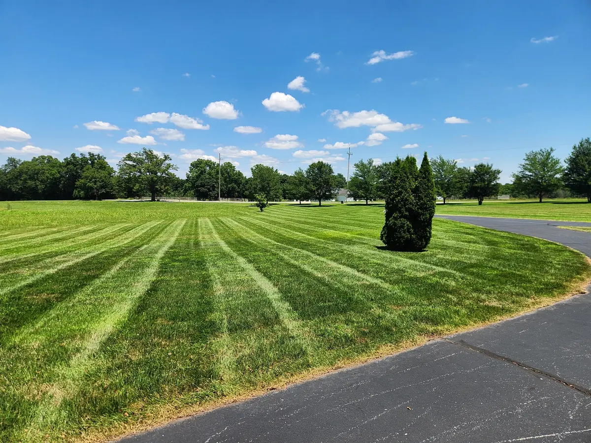 Broad striped acreage beside a paved drive