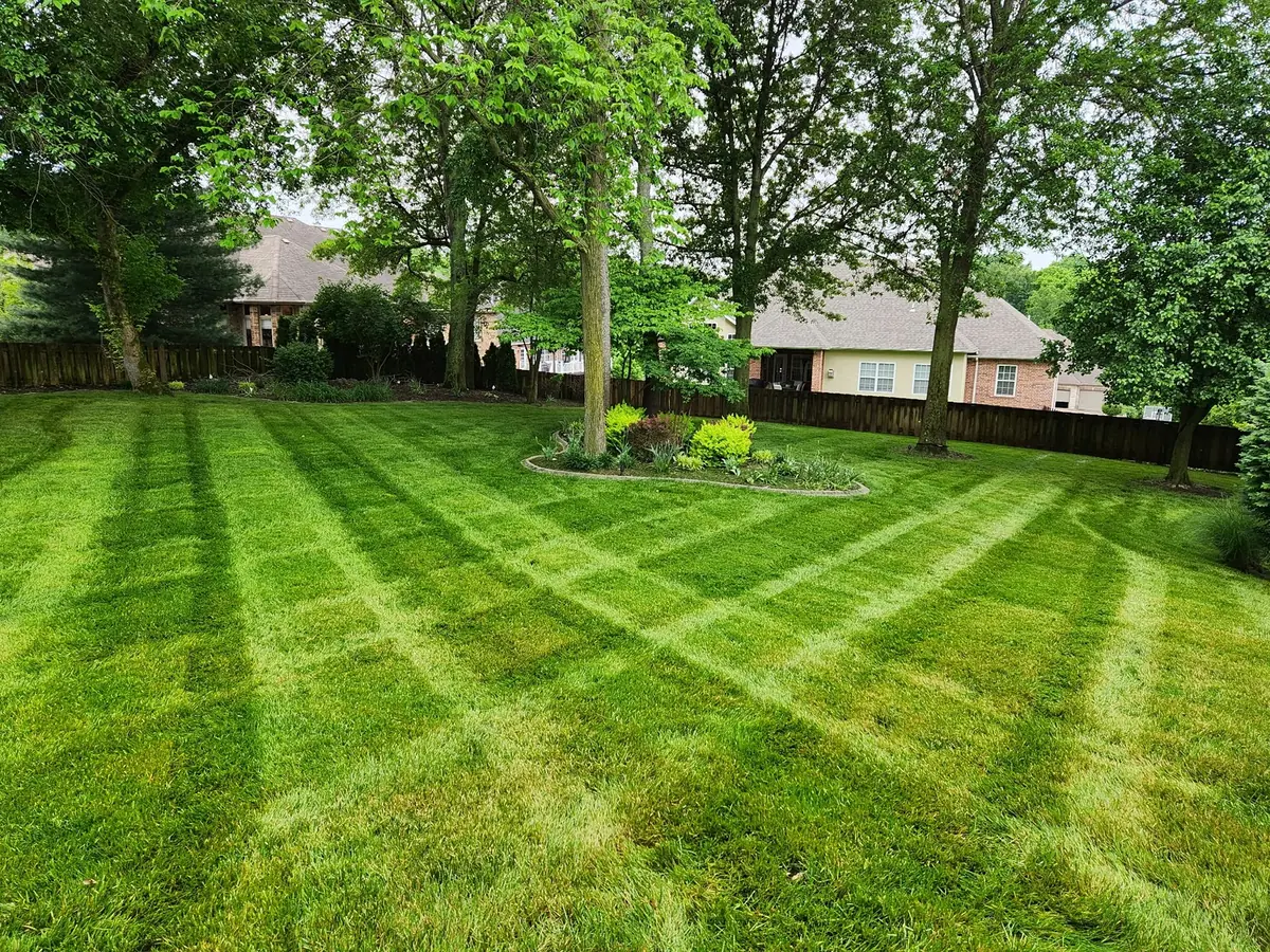 Backyard lawn stripes around mature trees and a landscape bed