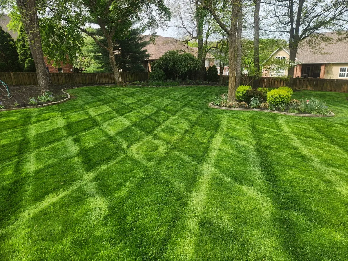 Detailed striped mowing pattern in a landscaped backyard