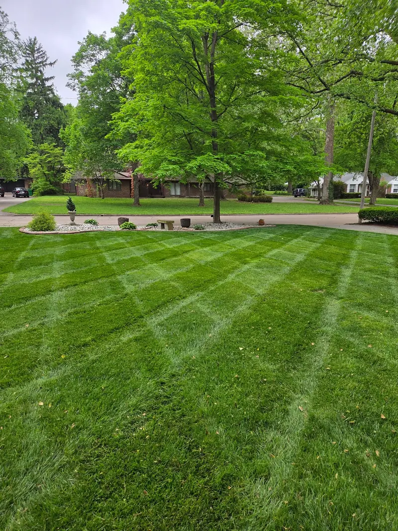 Alternating front-yard mowing pattern beneath mature trees