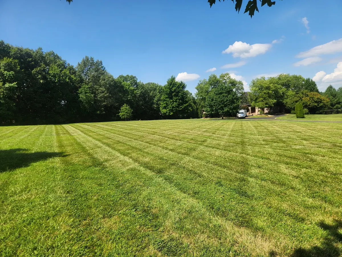 Long mowing lines across a large property